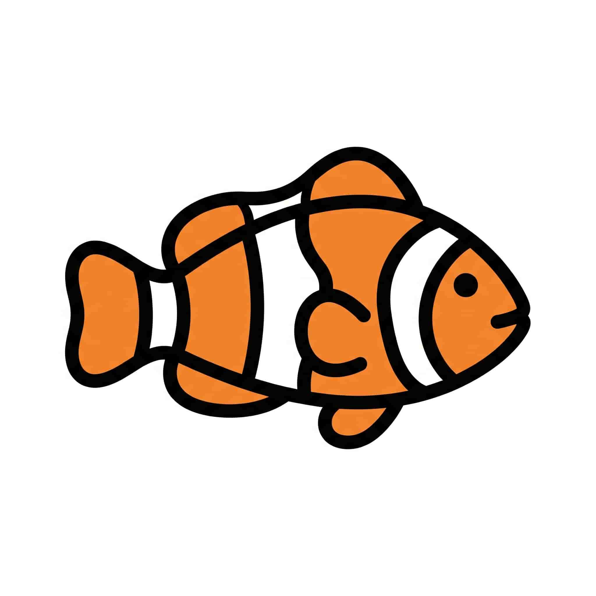 Clownfish